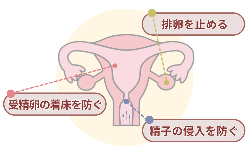 低用量ピル 避妊