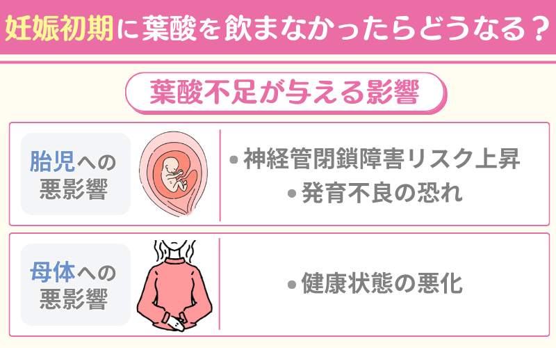 妊娠初期に葉酸を飲まなかったらどうなる？葉酸不足が胎児に与える影響を解説