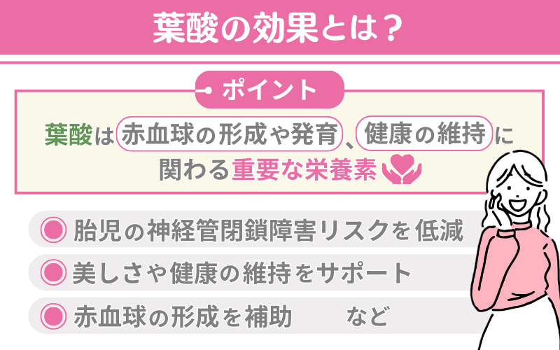 葉酸の効果
