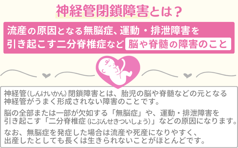 神経管閉鎖障害とは