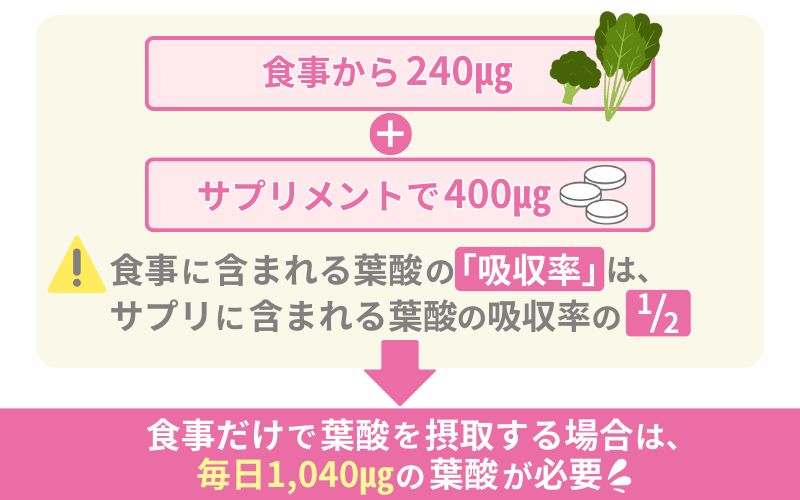 妊活中から妊娠初期の葉酸は640µg