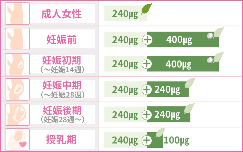 葉酸サプリメントが必要な時期