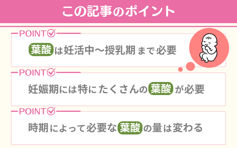 葉酸サプリはいつからいつまで飲むべき？時期に応じて必要な摂取量を分かりやすく解説