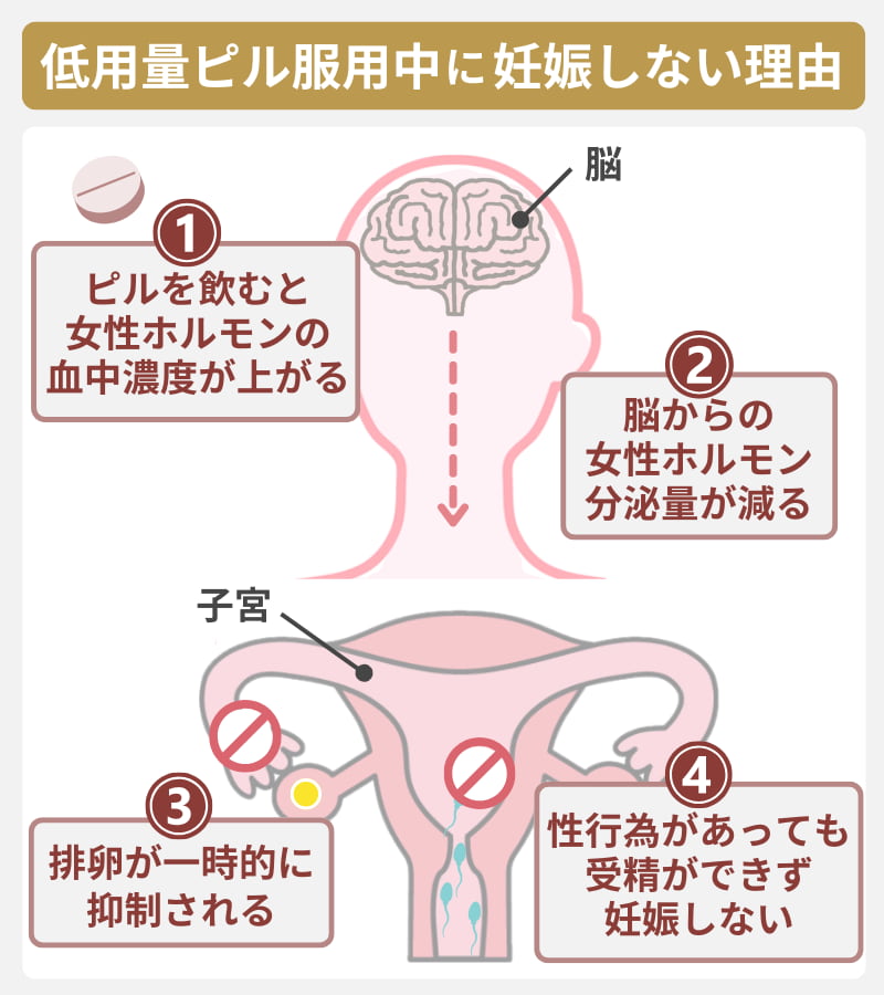 低用量ピル服用中に妊娠しない理由