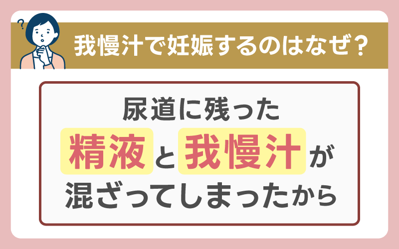 我慢汁で妊娠するのはなぜ？