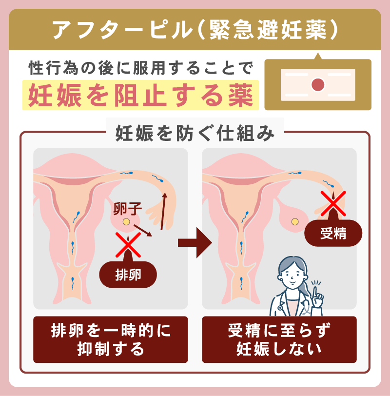 我慢汁で妊娠することはあるためアフターピルの服用が必要